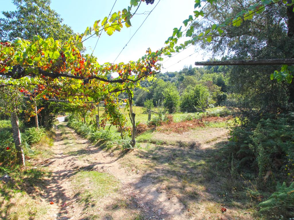 Quinta Gemieira, Ponte de Lima - Image 5
