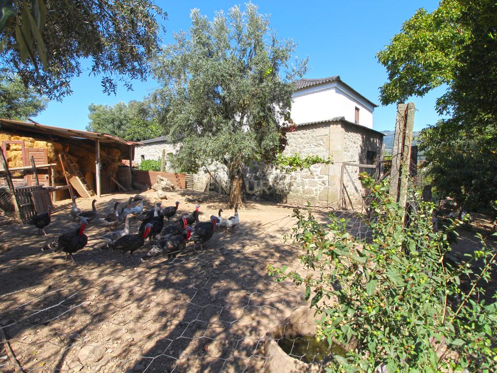 Quinta Gemieira, Ponte de Lima - Image 13