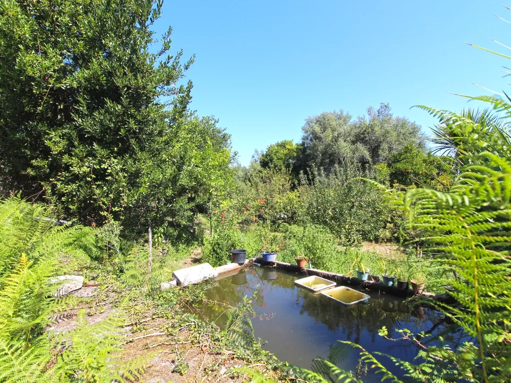 Quinta Gemieira, Ponte de Lima - Image 11