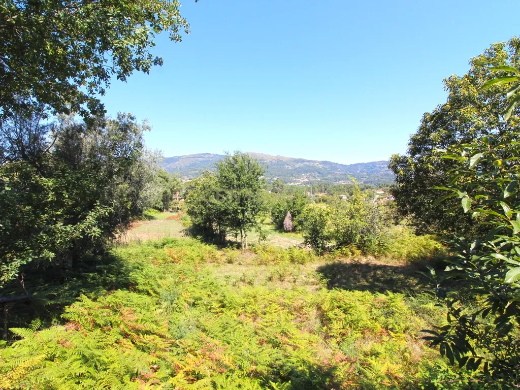 Quinta Gemieira, Ponte de Lima - Image 12