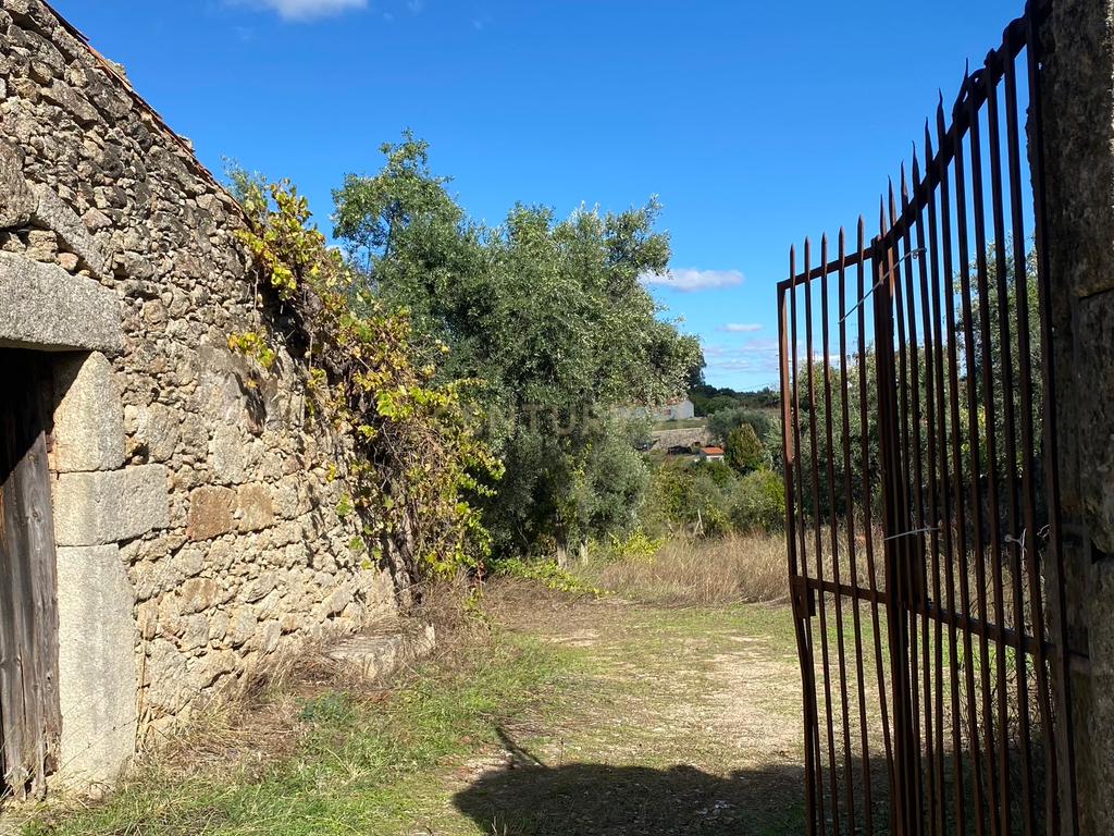 Quintinha em Castelo Branco - Image 1