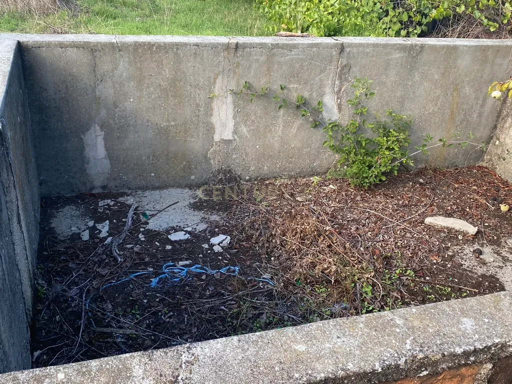 Quintinha em Castelo Branco - Image 11