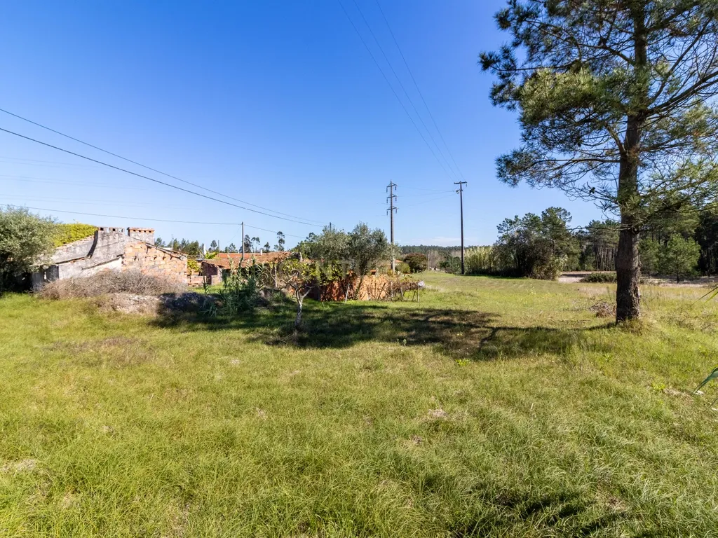 Terreno no Pilado (Urbanizável) - Marinha Grande - Image 4