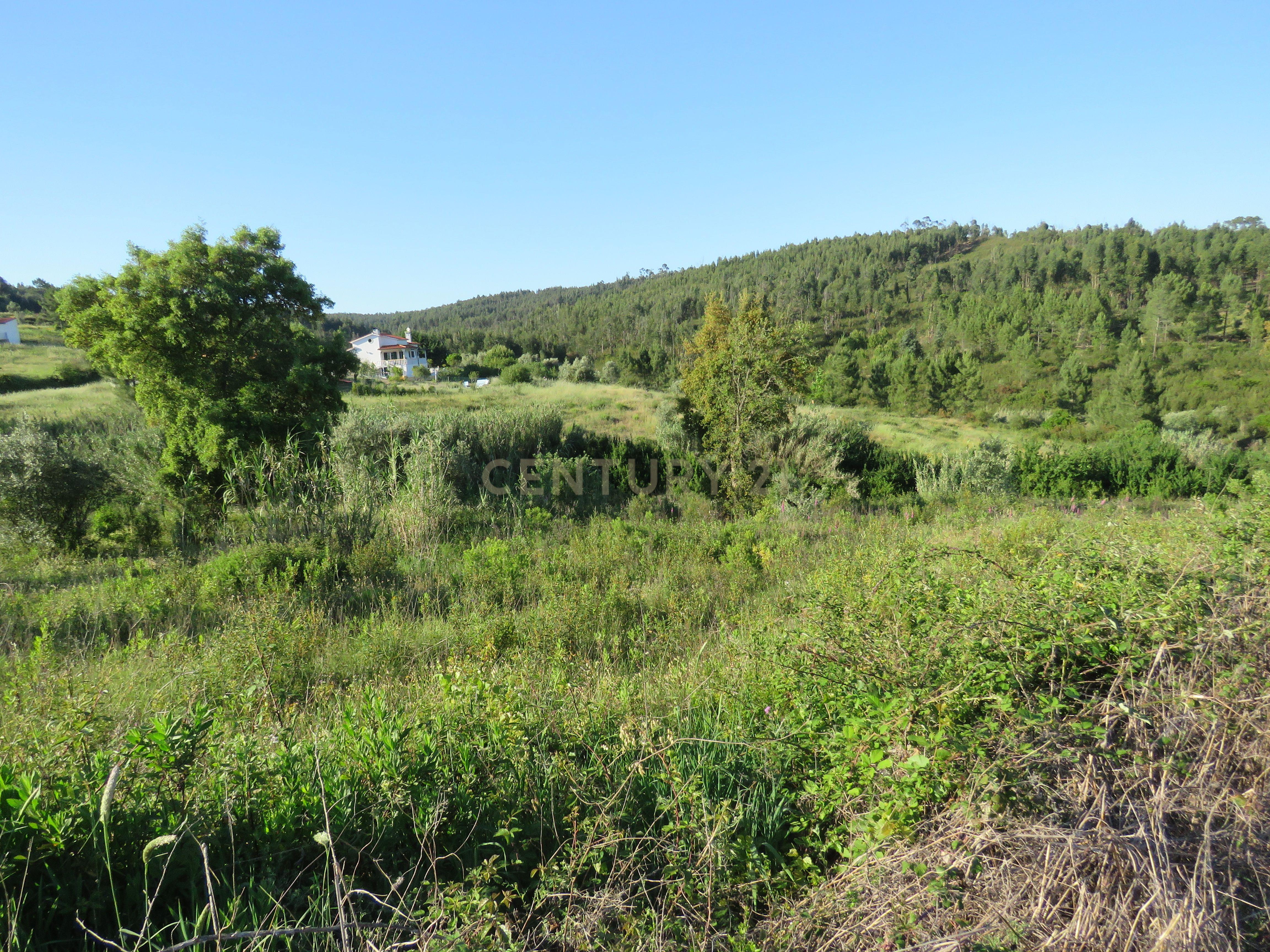 Terreno à venda na barragem de Castelo de Bode - Image 2