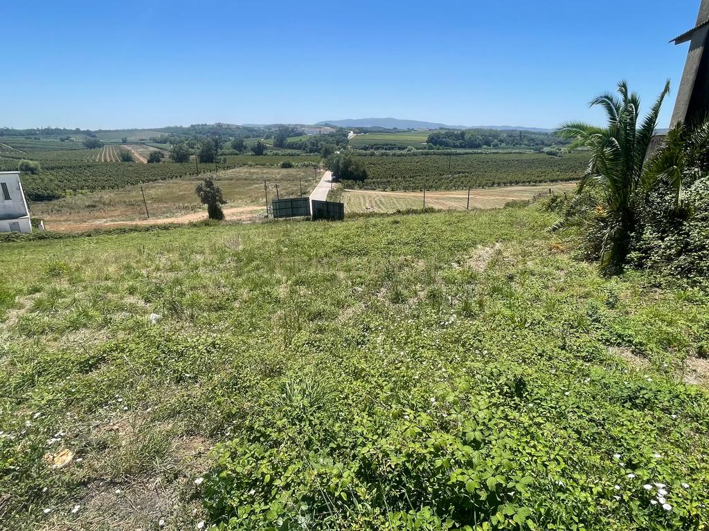 Terreno com 4480 m2 no Bombarral! - Image 1