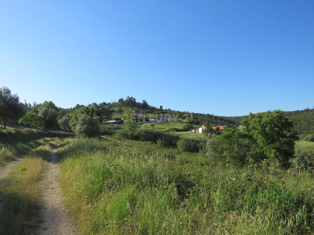 Terreno à venda na barragem de Castelo de Bode - Image 5