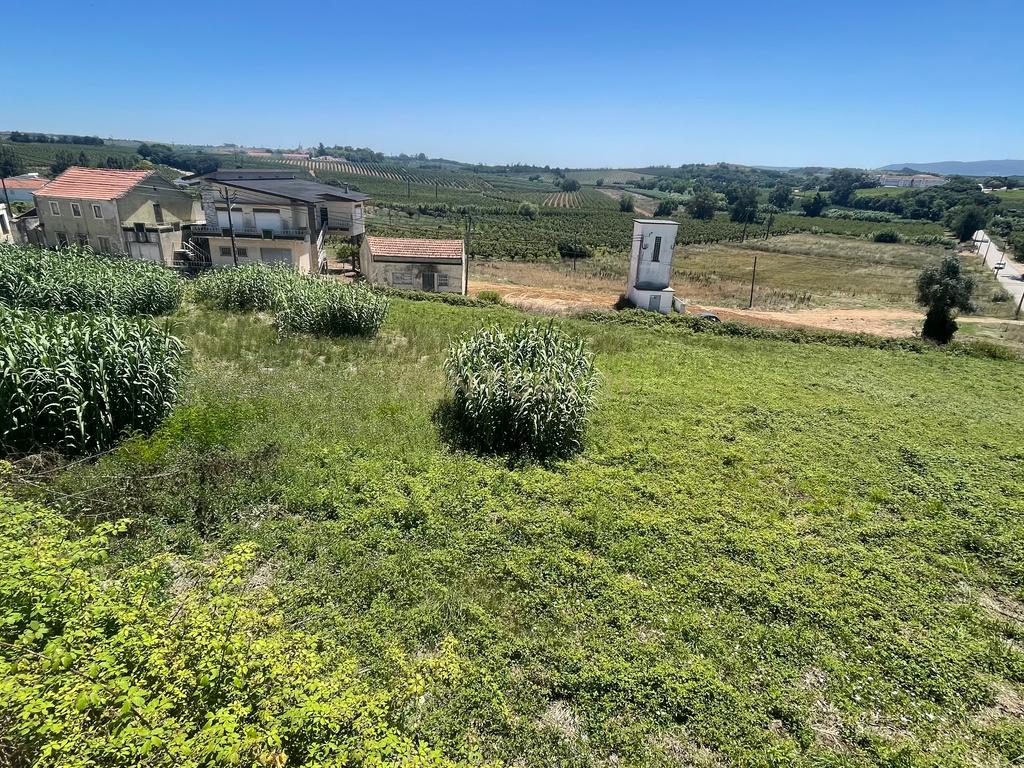 Terreno com 4480 m2 no Bombarral! - Image 7