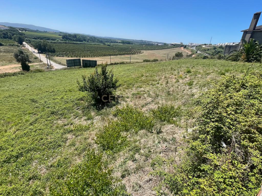 Terreno com 4480 m2 no Bombarral! - Image 4
