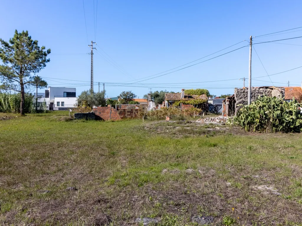 Terreno no Pilado (Urbanizável) - Marinha Grande - Image 6