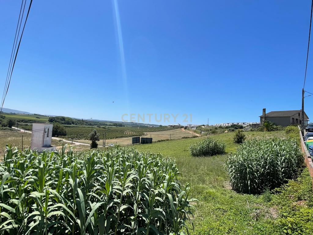 Terreno com 4480 m2 no Bombarral! - Image 3
