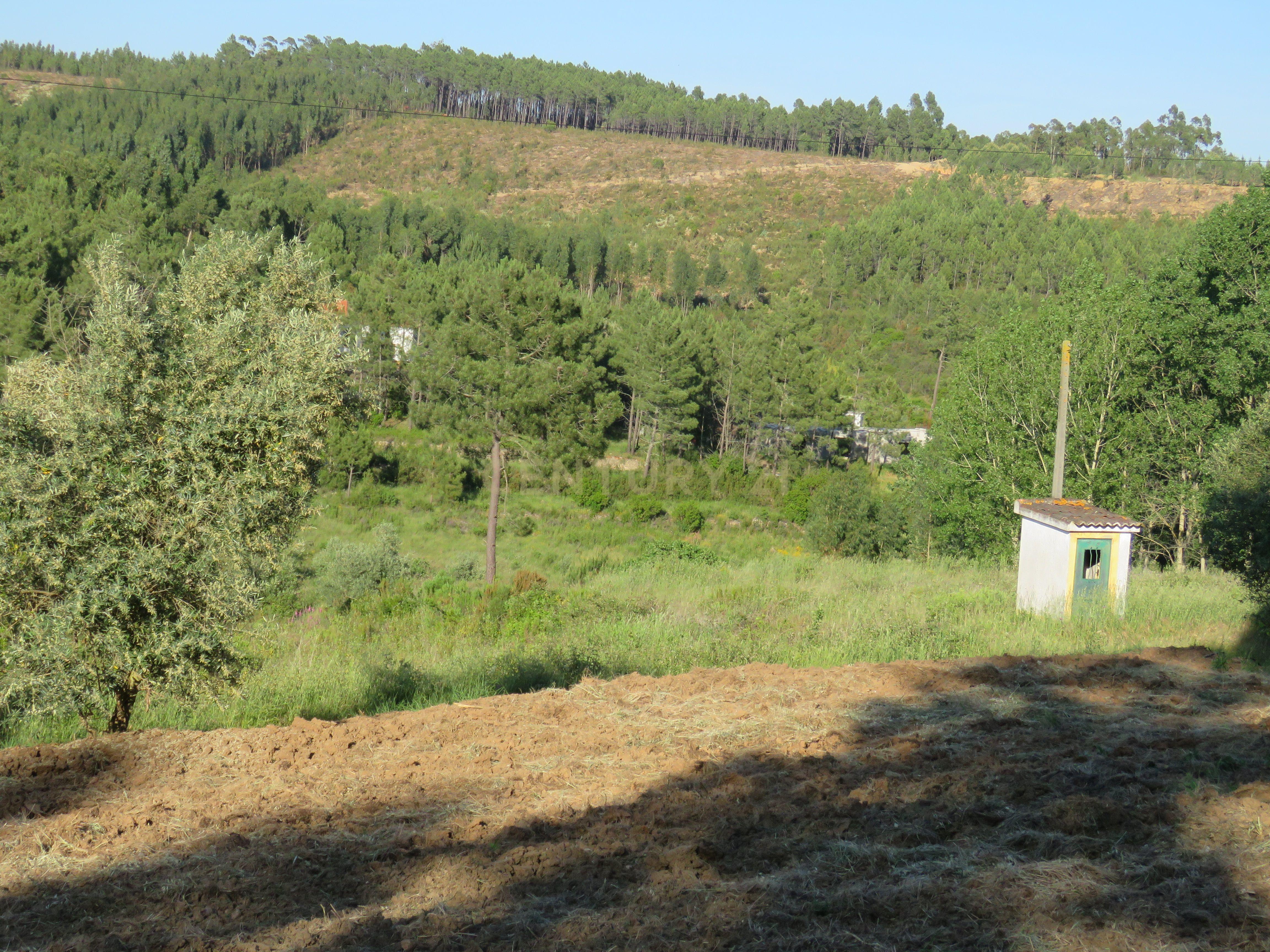 Terreno à venda na barragem de Castelo de Bode - Image 1