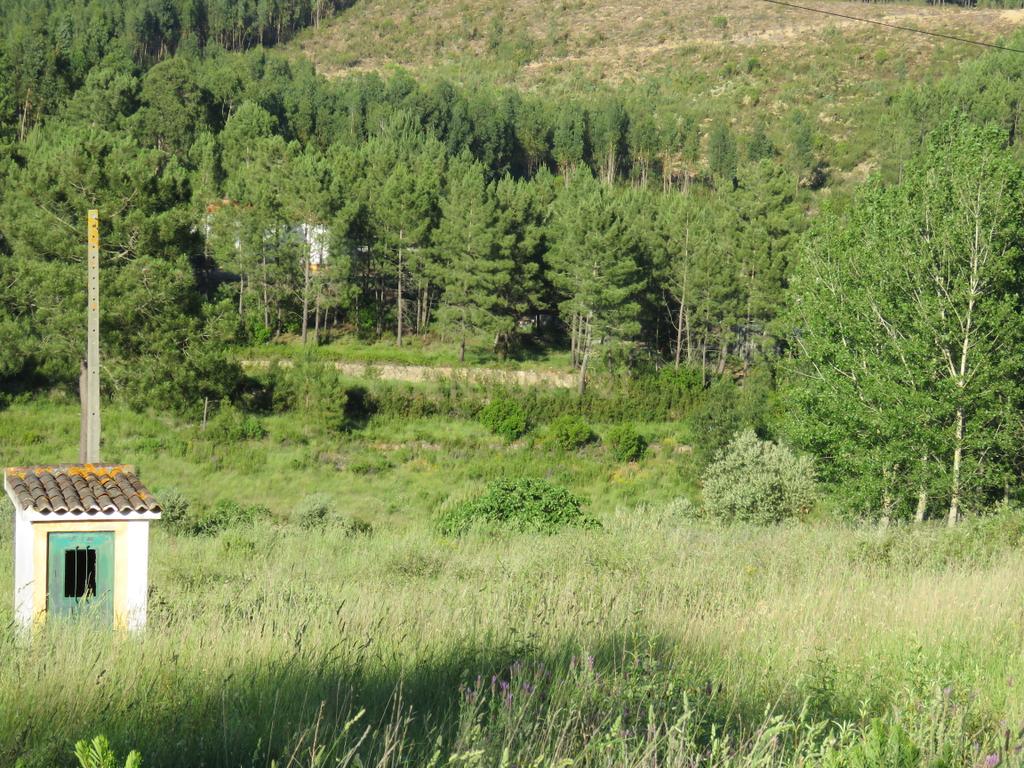 Terreno à venda na barragem de Castelo de Bode - Image 3