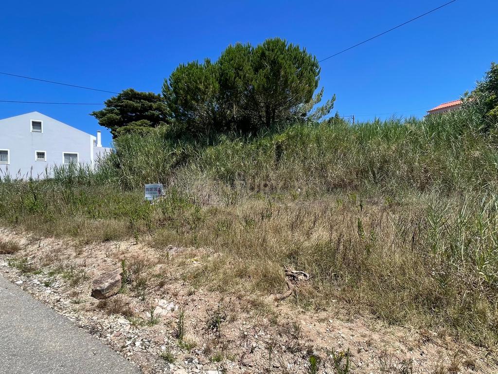 Terreno para Construção no Bombarral! - Image 1