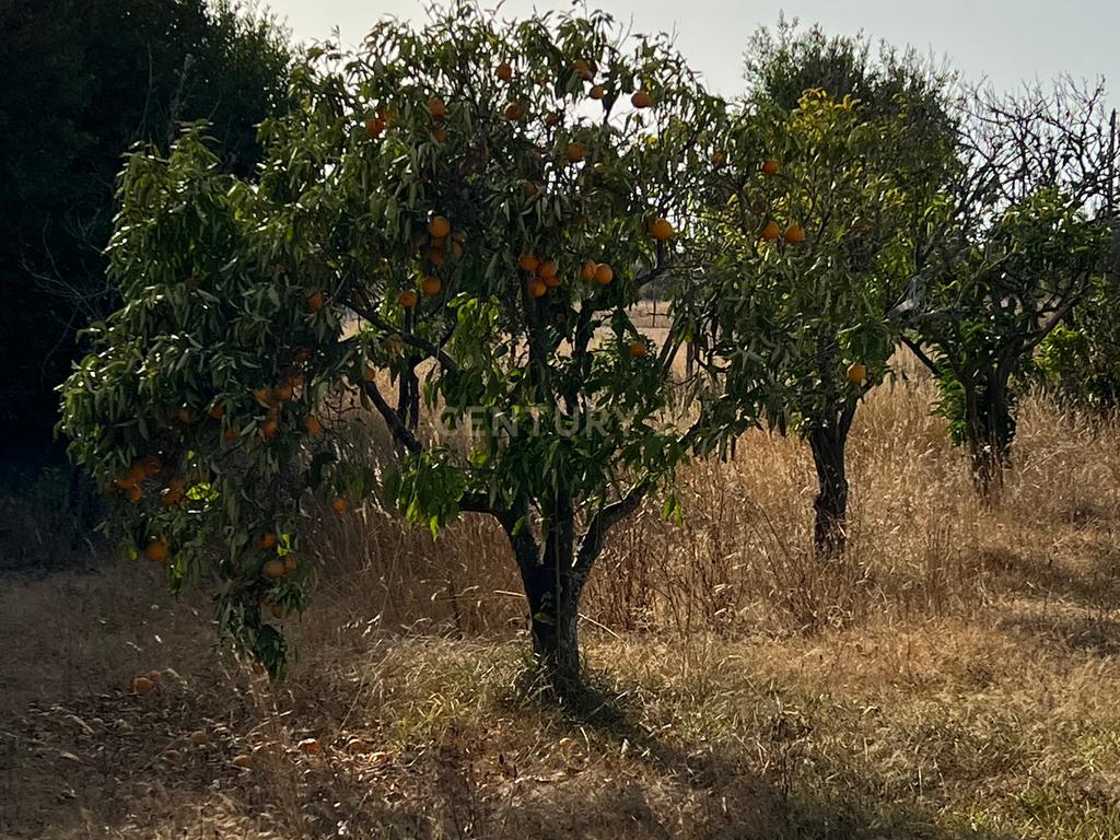 Villa Monte Samoqueiro - Image 38