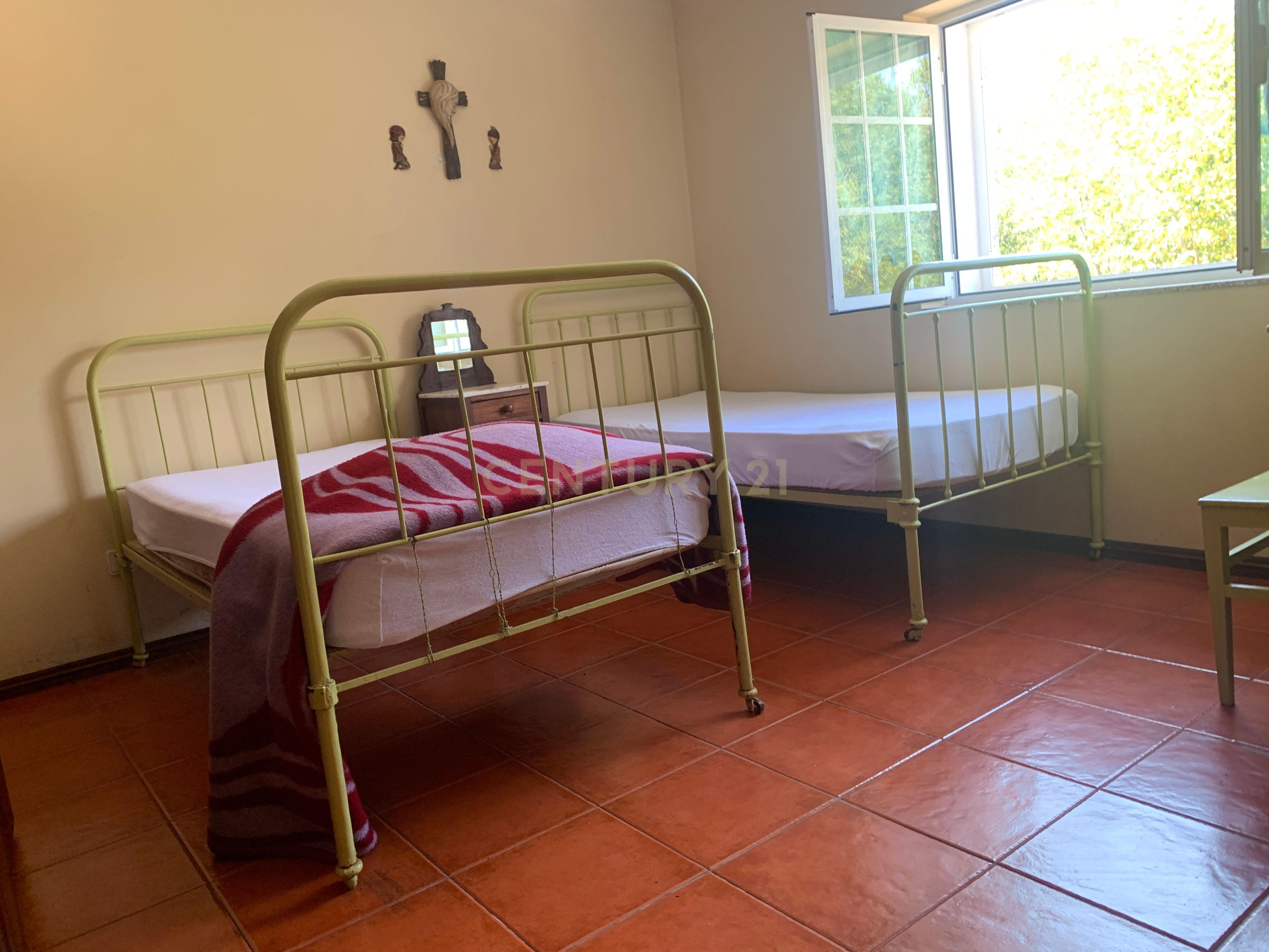Moradia Térrea com 10.000m2 tereno no Gerês - Image 2