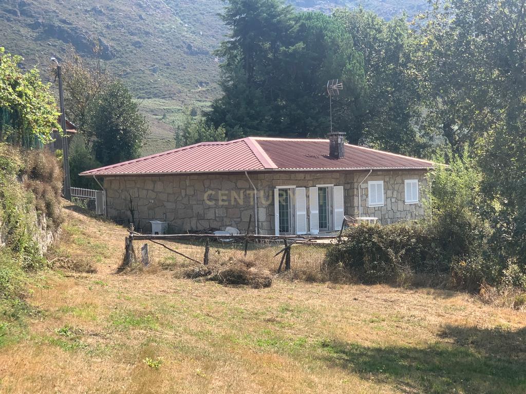 Moradia Térrea com 10.000m2 tereno no Gerês - Image 16