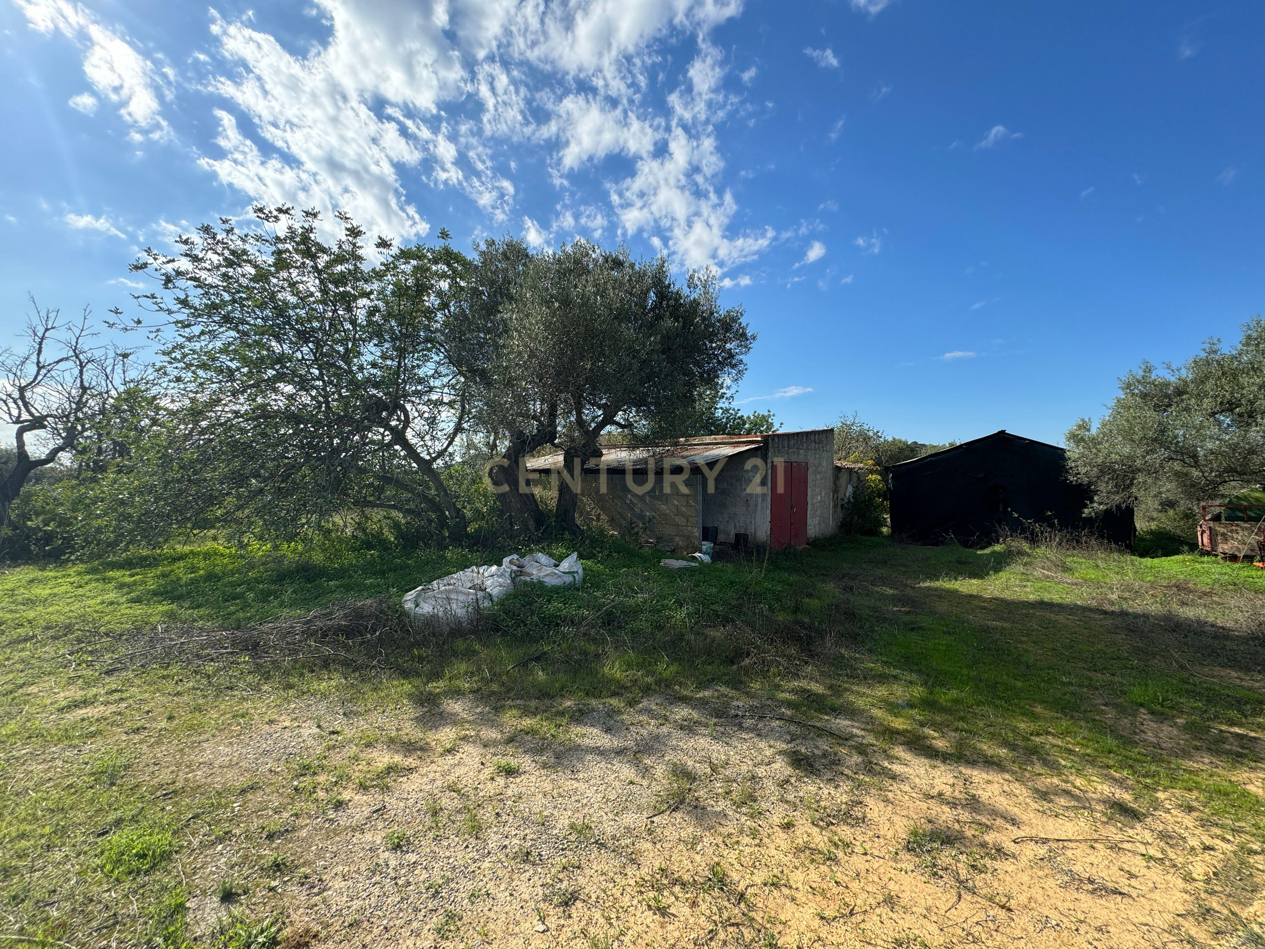 Terreno Rústico com 15.840m2  à Venda em Moncarapacho – Álamo - Image 5