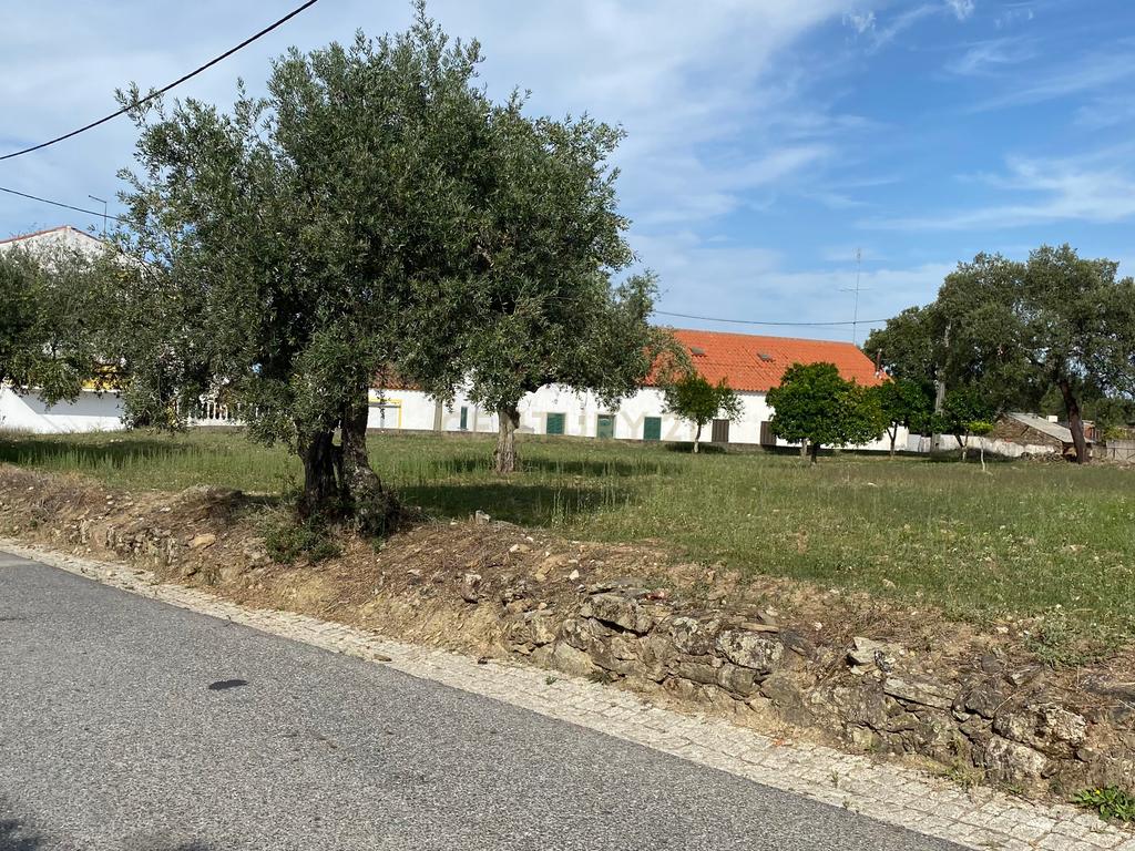Terreno Rústico ideal para Construção em Benquerenças| Castelo Branco - Image 6