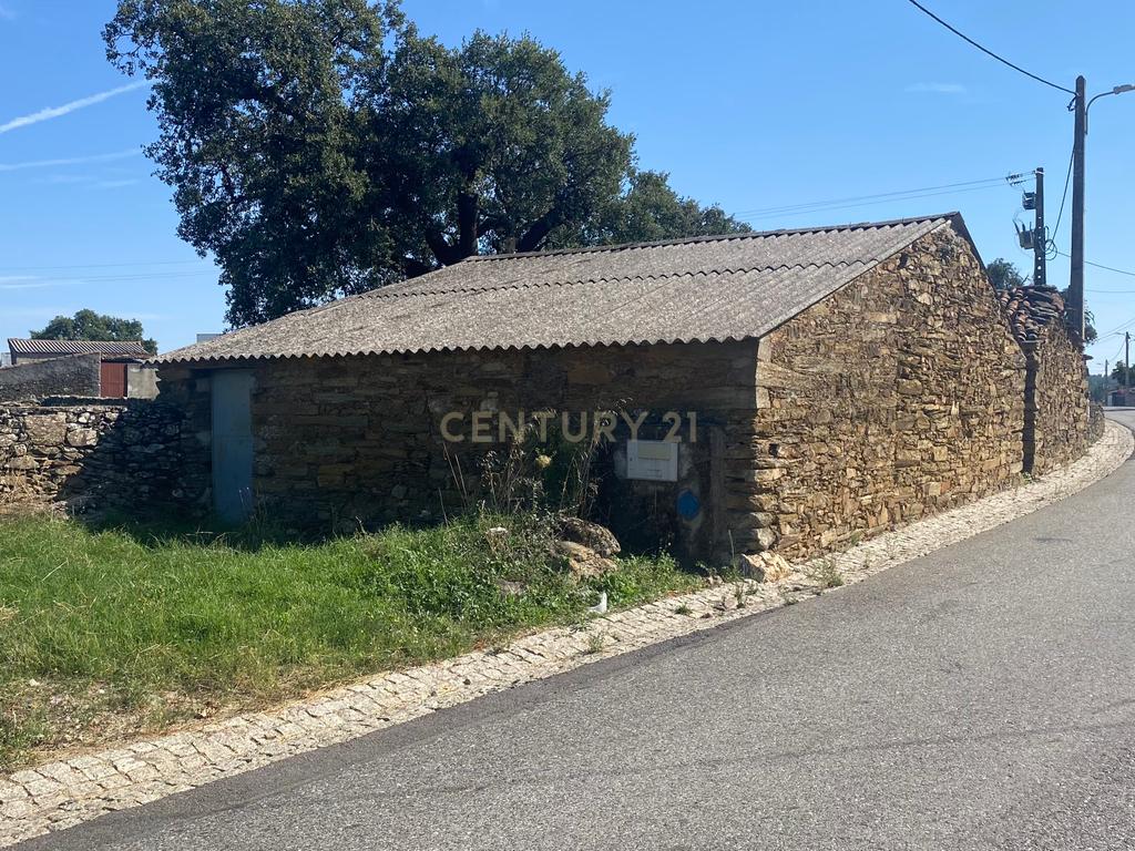 Terreno Rústico ideal para Construção em Benquerenças| Castelo Branco - Image 12