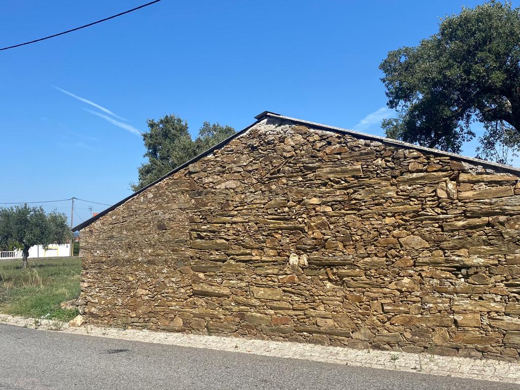 Terreno Rústico ideal para Construção em Benquerenças| Castelo Branco - Image 10