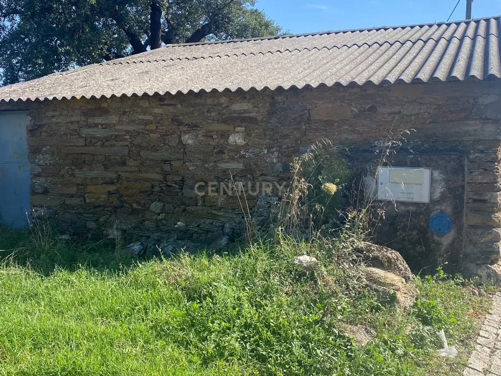 Terreno Rústico ideal para Construção em Benquerenças| Castelo Branco - Image 2