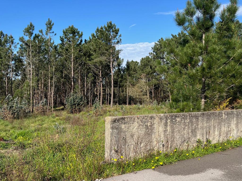 Terreno Rustico/Urbano com 11.000 m2 - Image 3