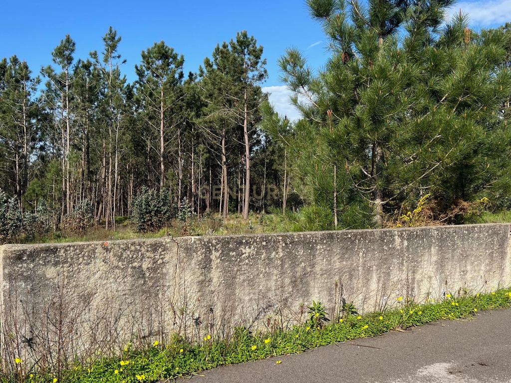 Terreno Rustico/Urbano com 11.000 m2 - Image 2
