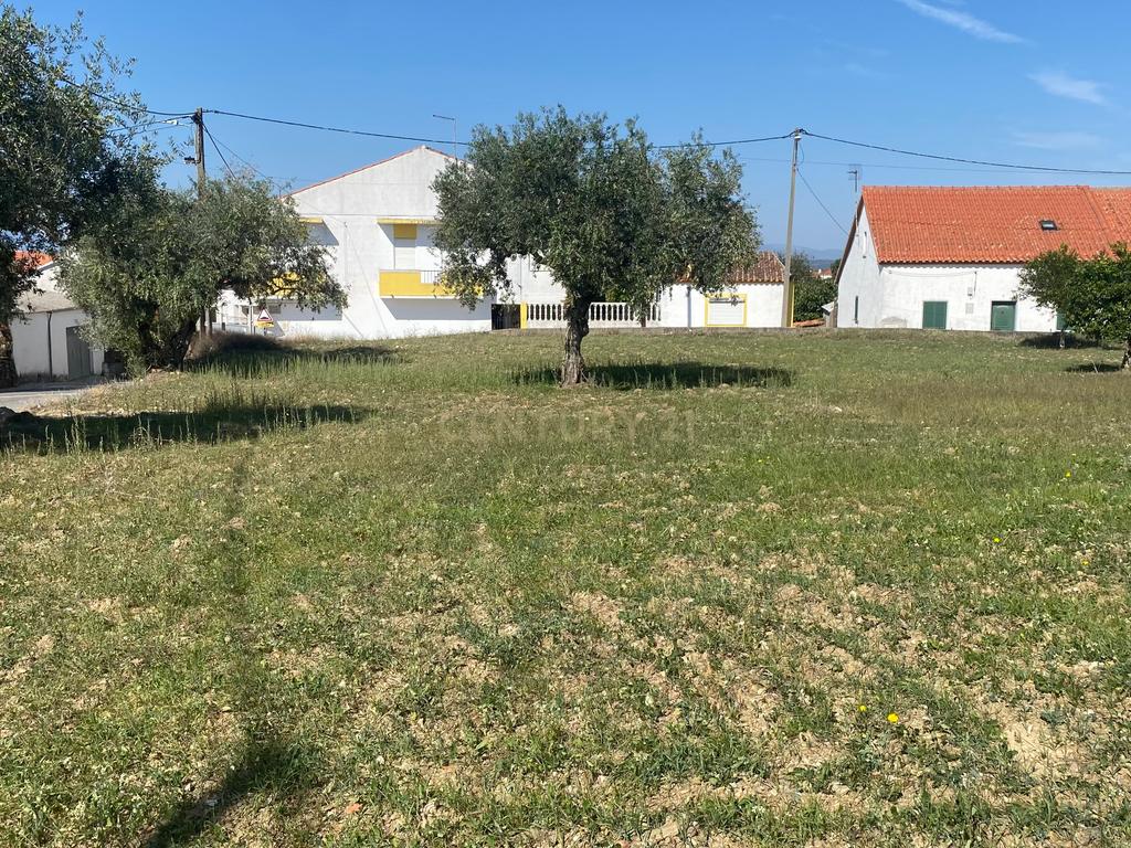 Terreno Rústico ideal para Construção em Benquerenças| Castelo Branco - Image 3