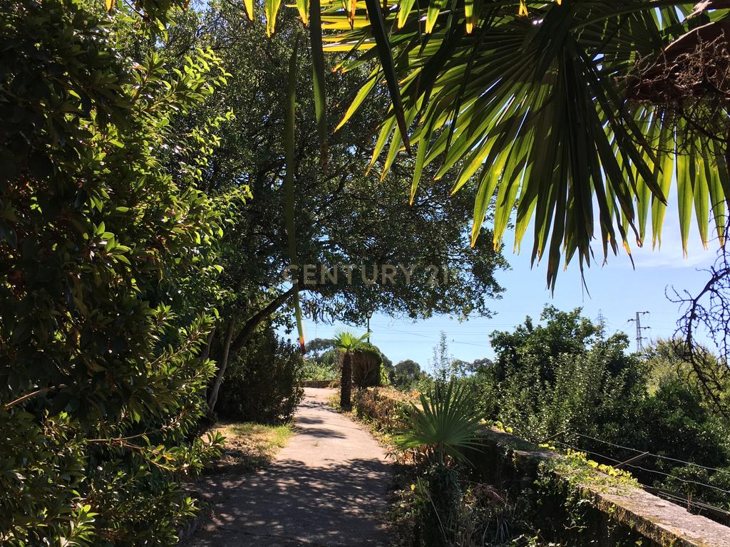 Quinta Villa Progresso - T6+1 em Cucujães - Image 24