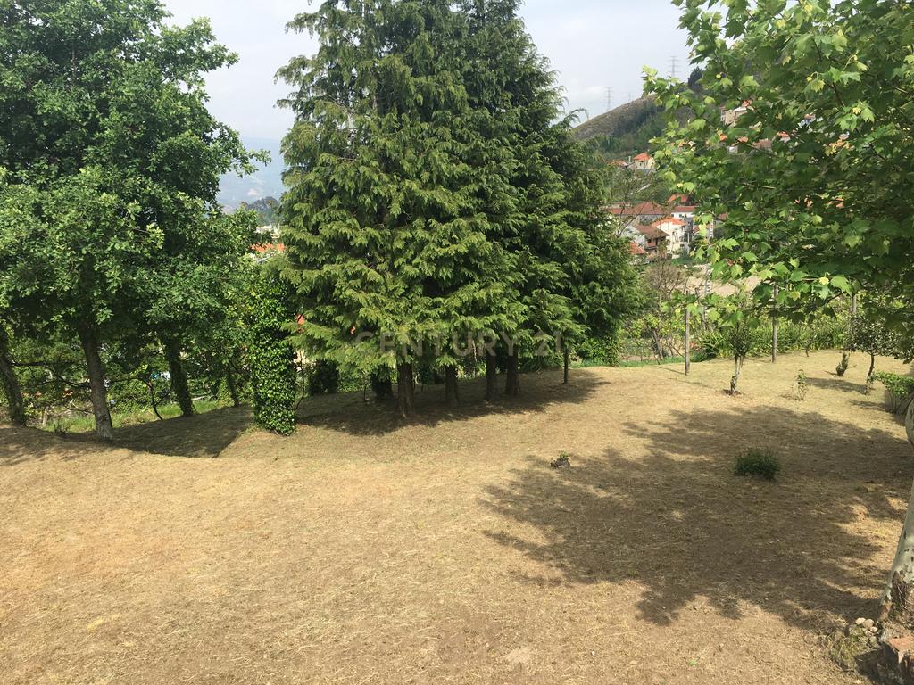 Terreno com 900m2 na zona Gerês  com vista rio - Image 16