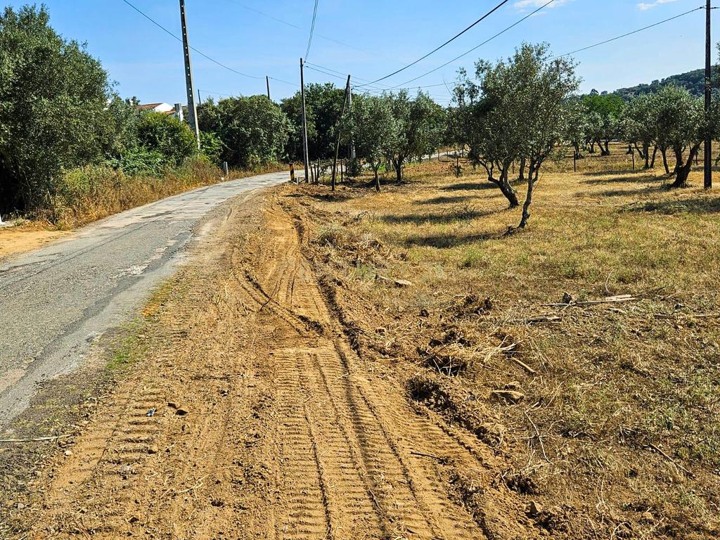 Lote de Terreno com Ruína em Montemor-o-Novo - Image 24