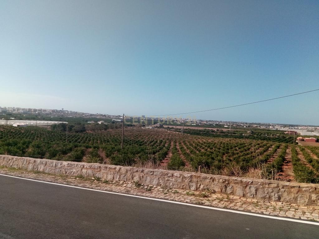 Lote Urbano na Quinta da Galvana - Image 6