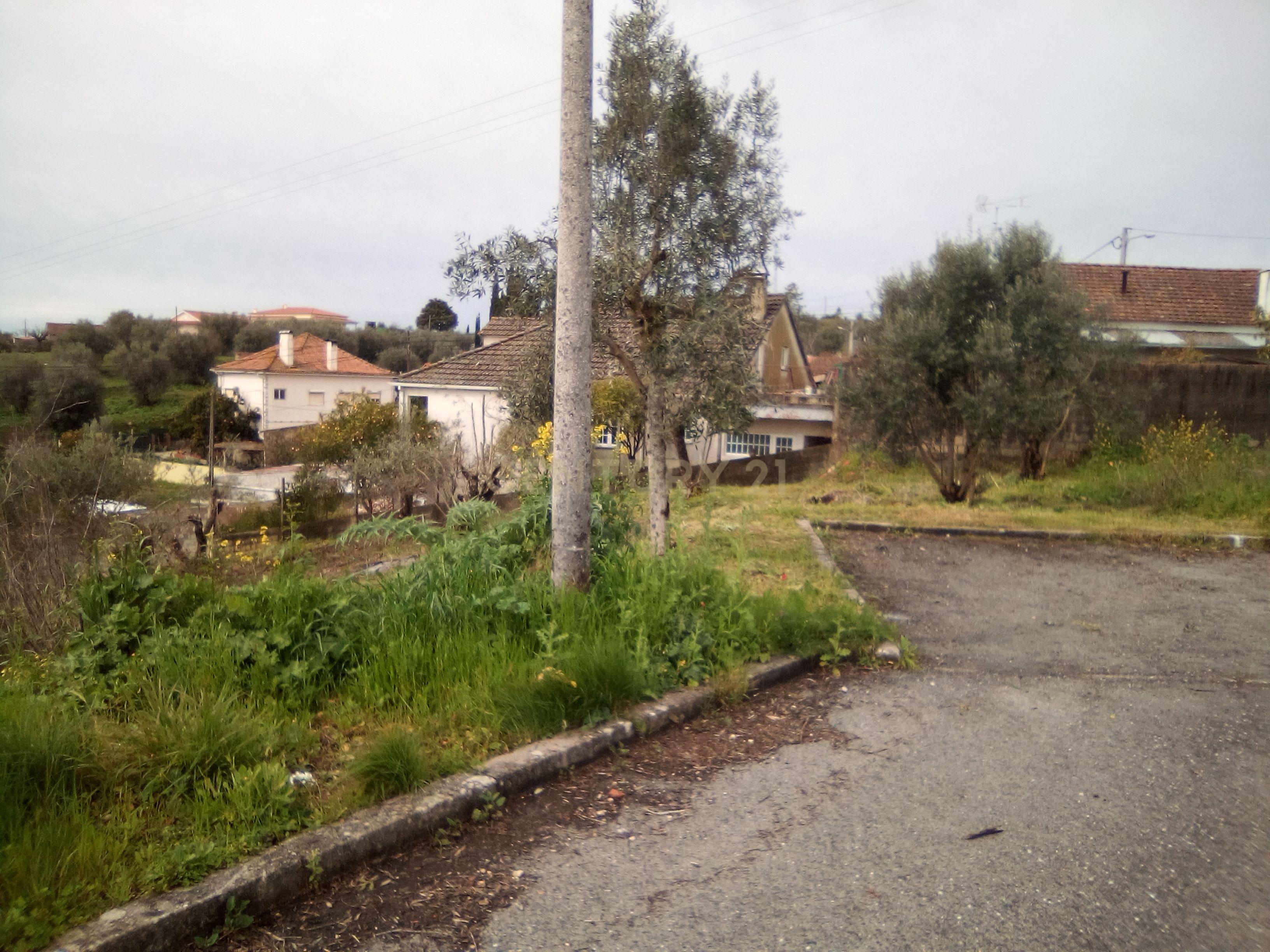 Terreno para construção em Tomar - Image 6