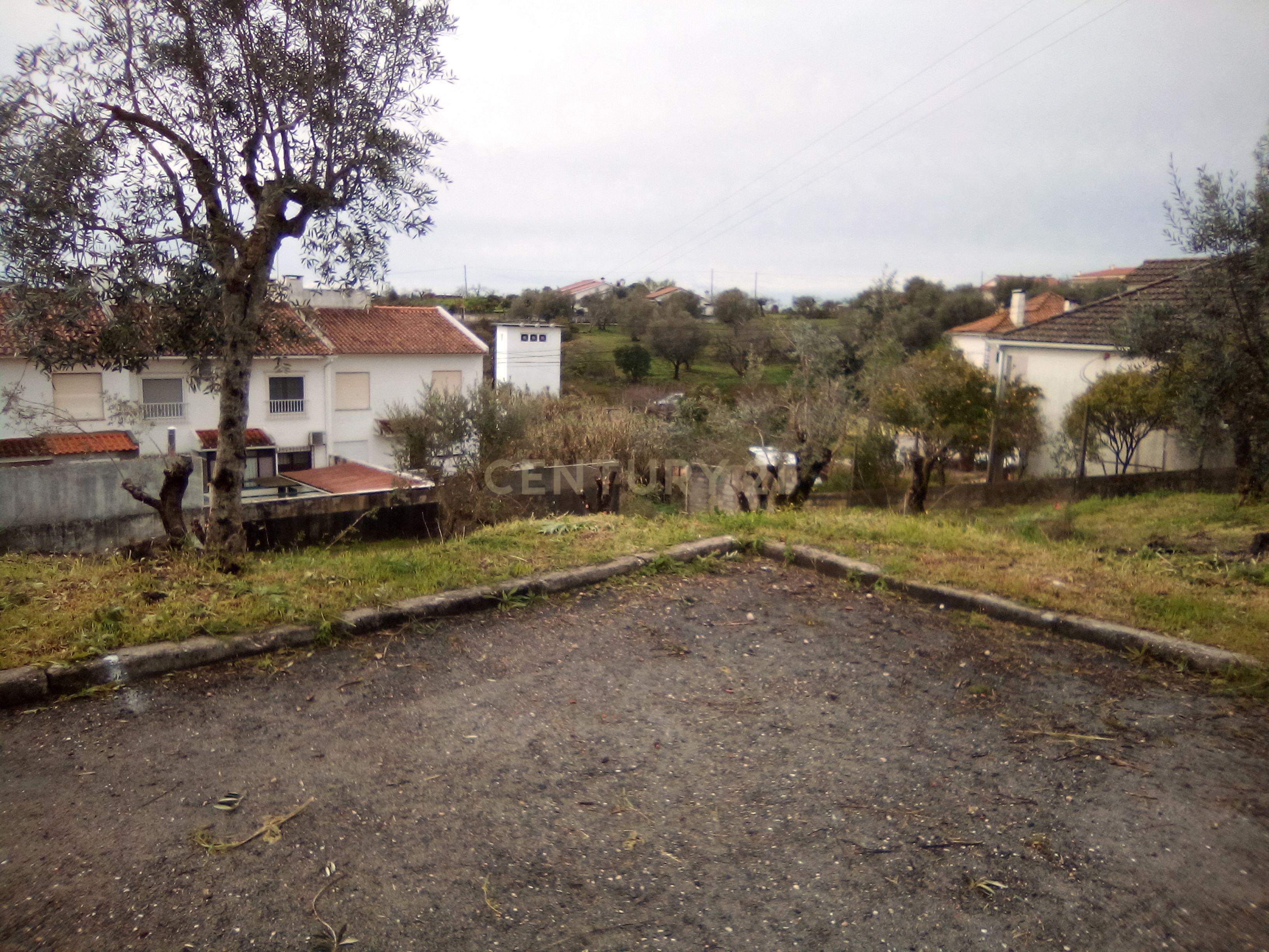 Terreno para construção em Tomar - Image 3