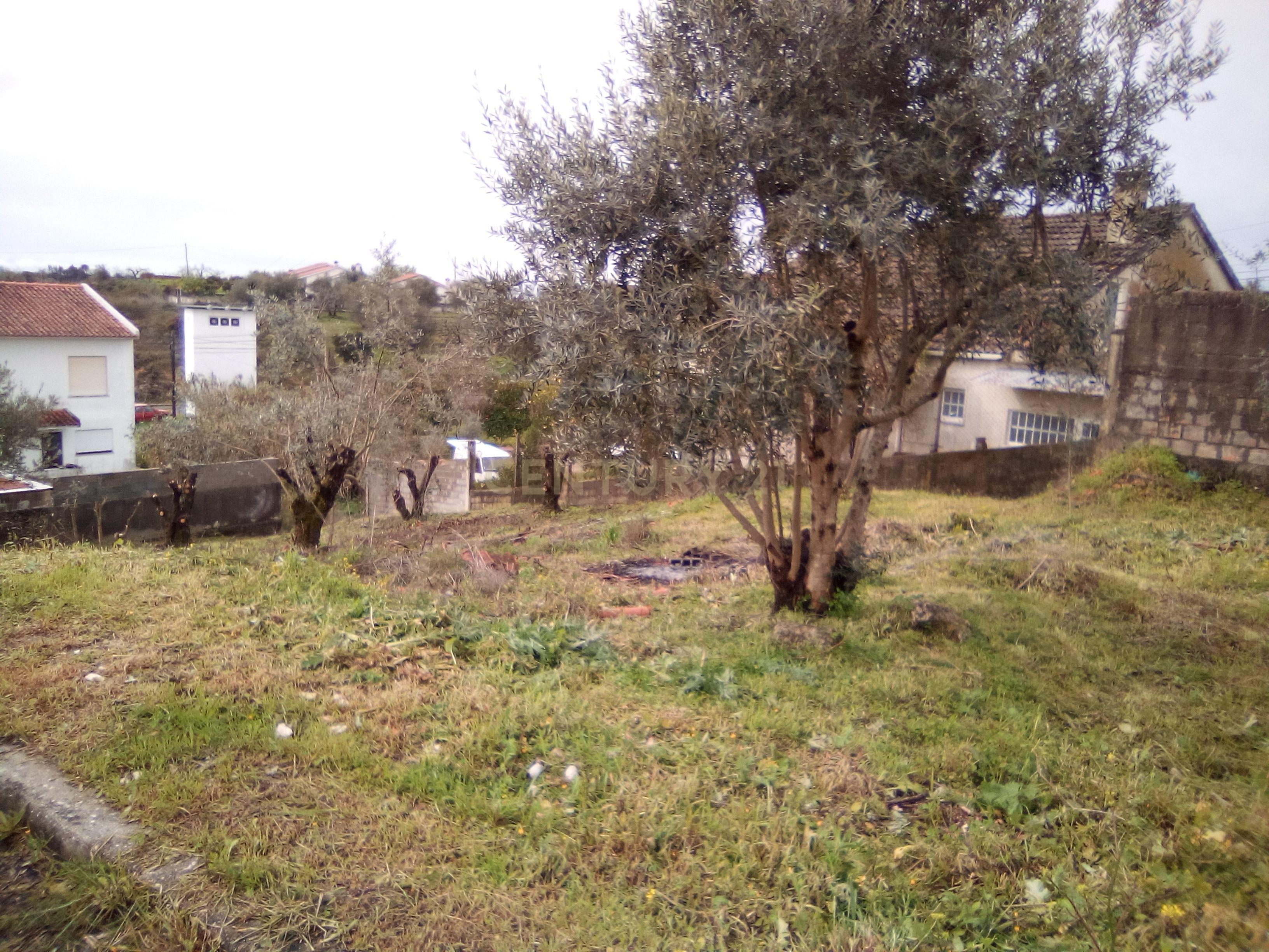 Terreno para construção em Tomar - Image 1