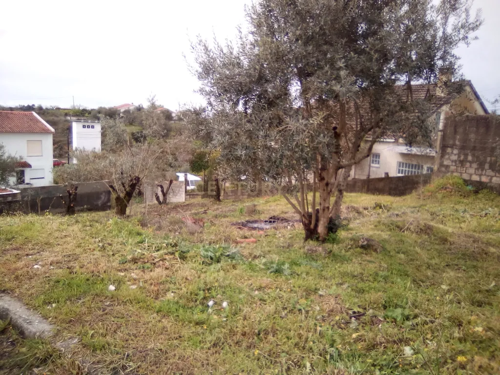 Terreno para construção em Tomar - Image 1