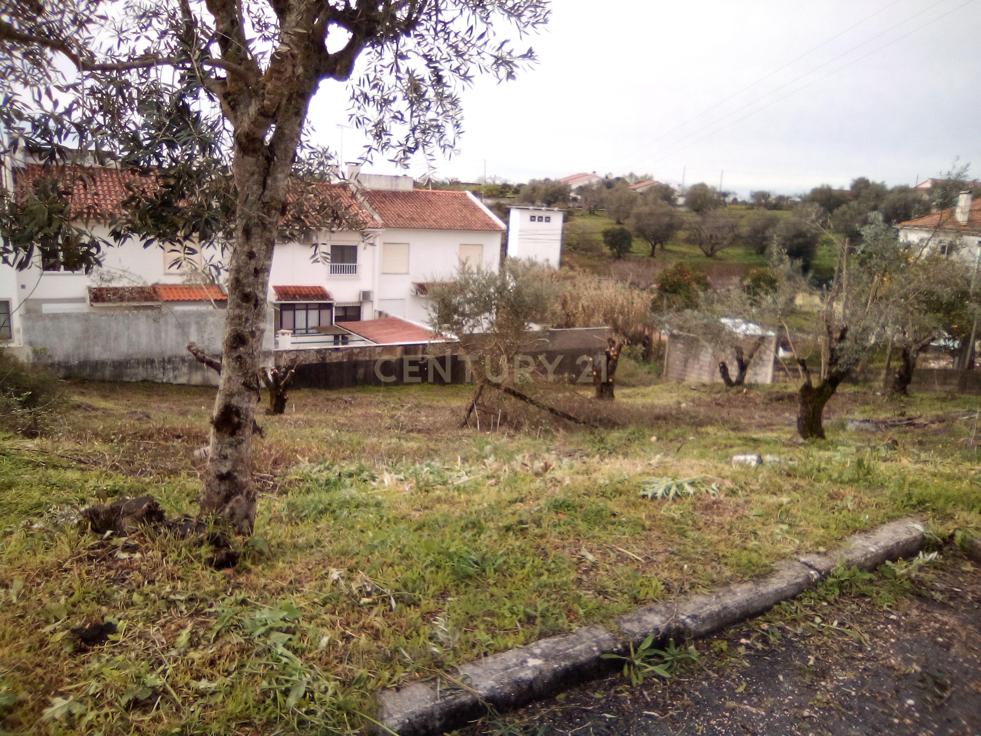 Terreno para construção em Tomar - Image 5