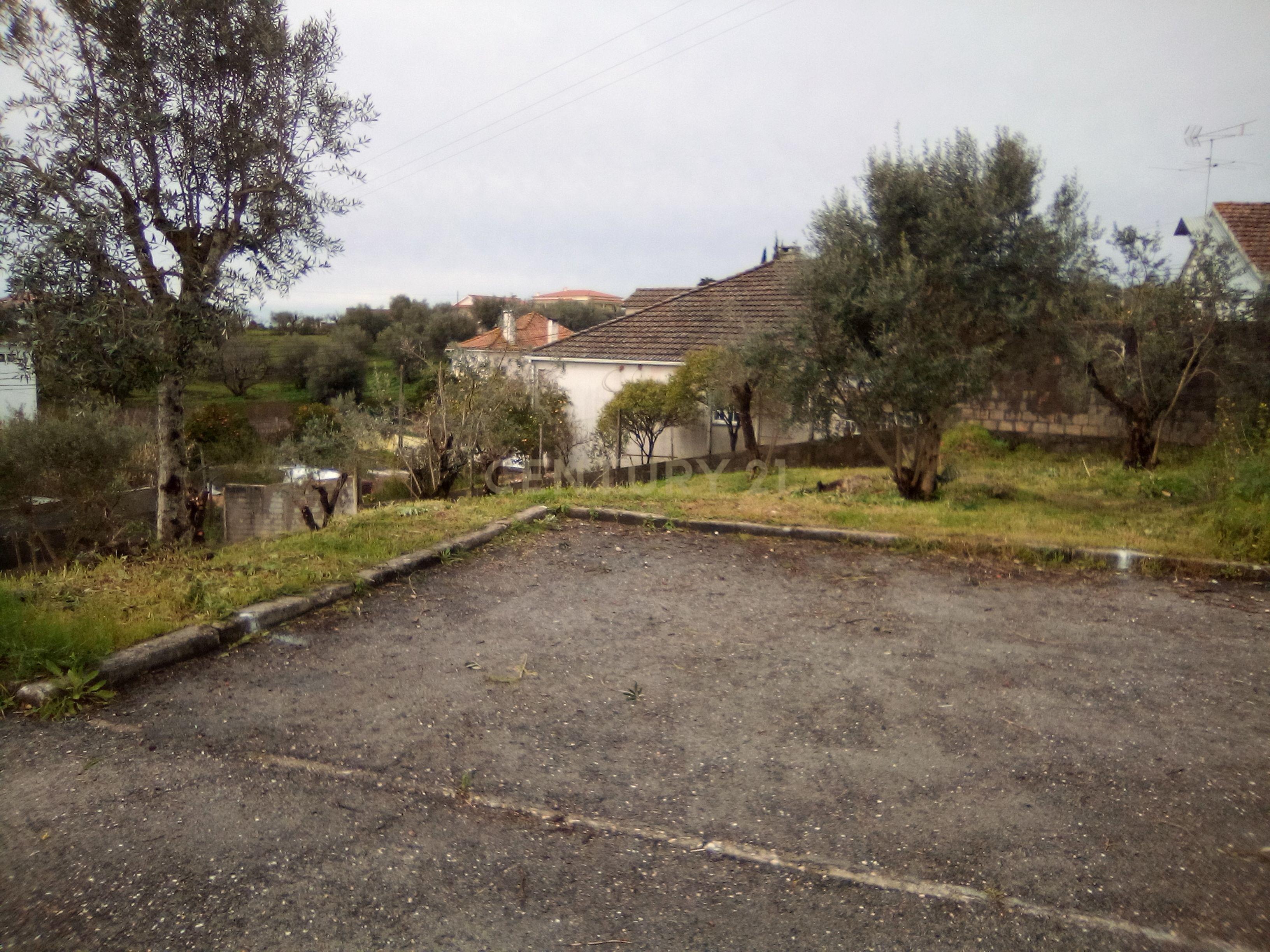 Terreno para construção em Tomar - Image 4