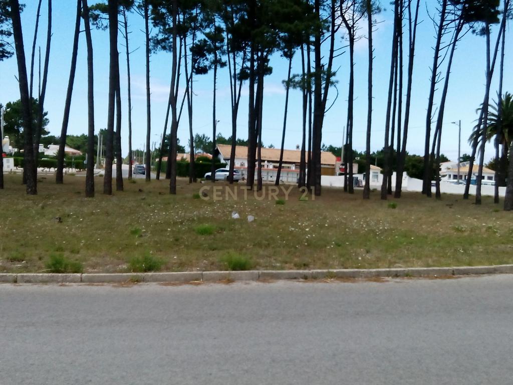 Terreno Urbano -1170 M2 - Construção - Vale da Telha-Aljezur -Algarve - Image 8