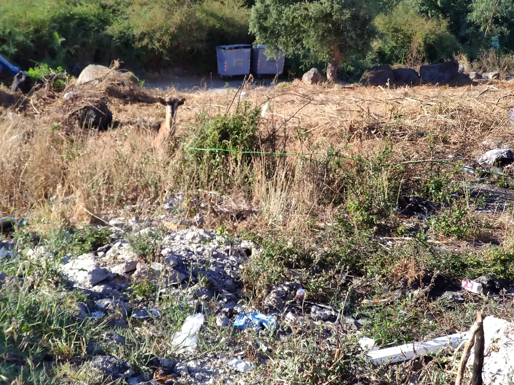 Quinta De Além com casa rústica em ruína para reabilitação total de 2 quartos no centro de Cete, Paredes - Image 38