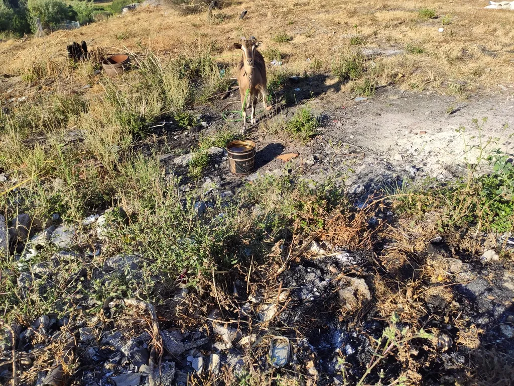 Quinta De Além com casa rústica em ruína para reabilitação total de 2 quartos no centro de Cete, Paredes - Image 45