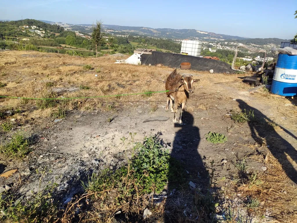 Quinta De Além com casa rústica em ruína para reabilitação total de 2 quartos no centro de Cete, Paredes - Image 43