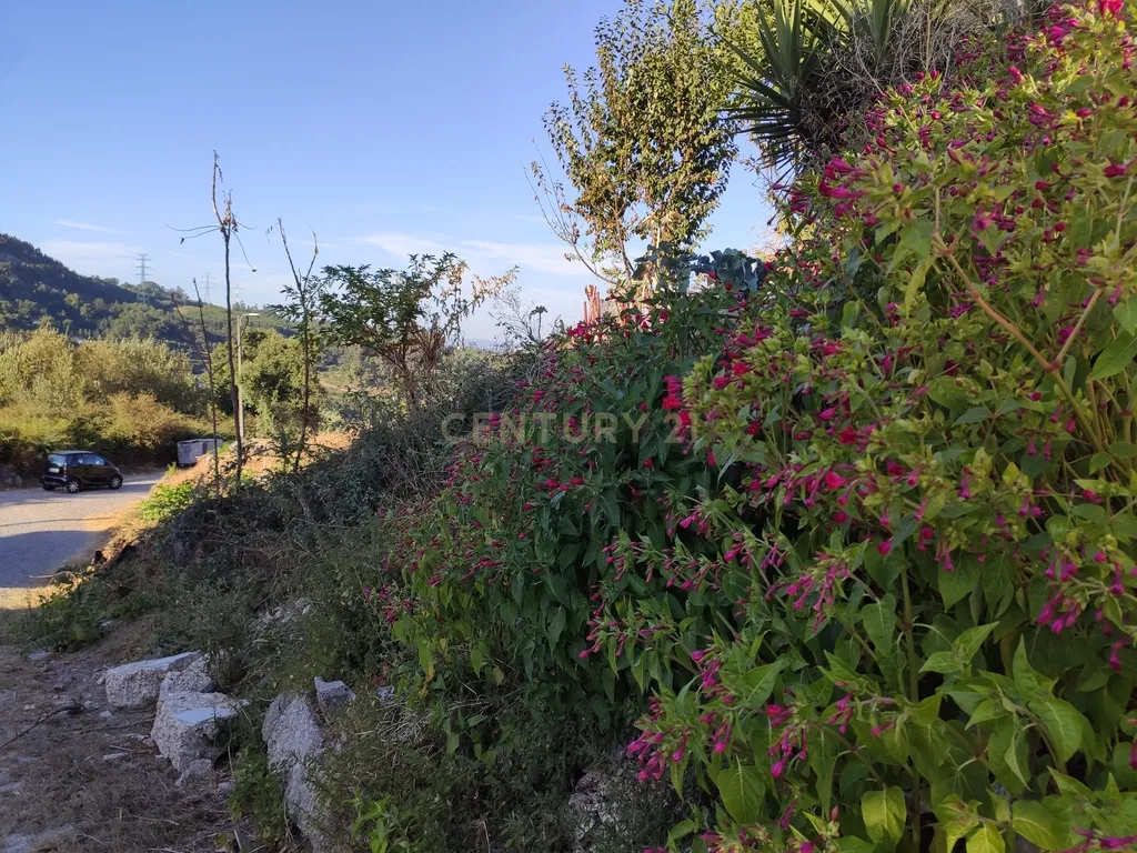 Quinta De Além com casa rústica em ruína para reabilitação total de 2 quartos no centro de Cete, Paredes - Image 47