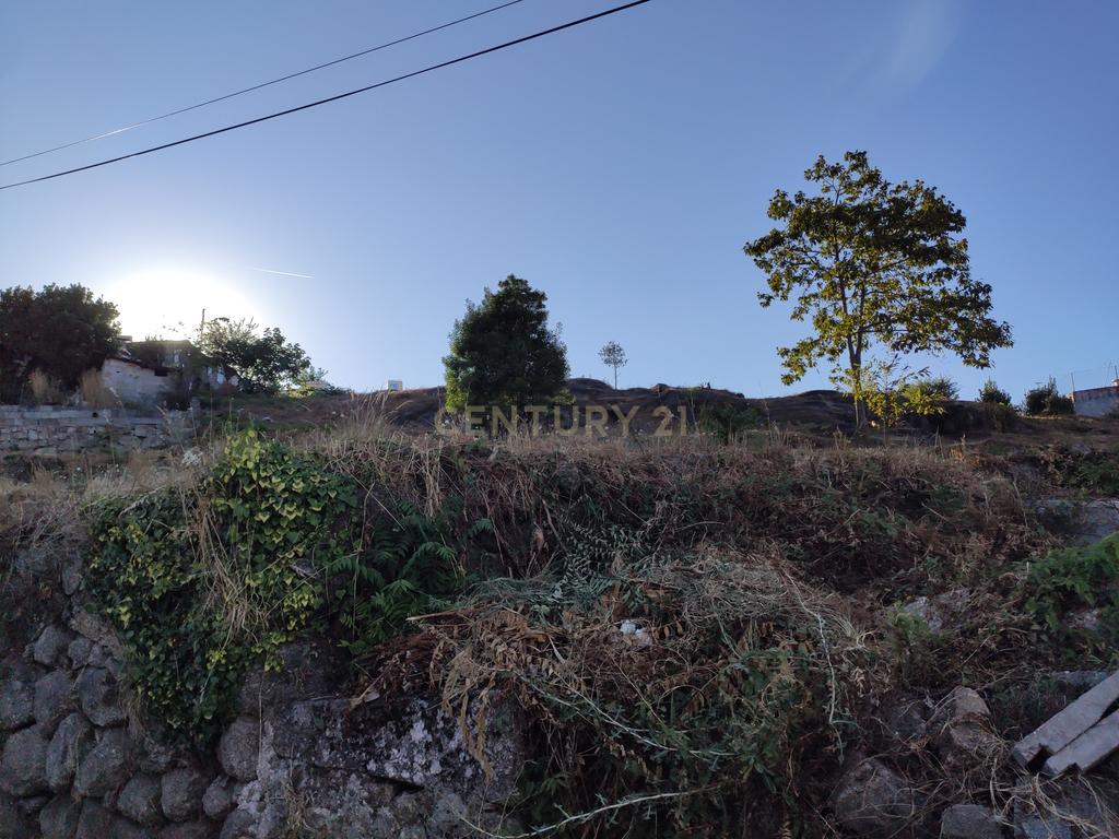 Quinta De Além com casa rústica em ruína para reabilitação total de 2 quartos no centro de Cete, Paredes - Image 26