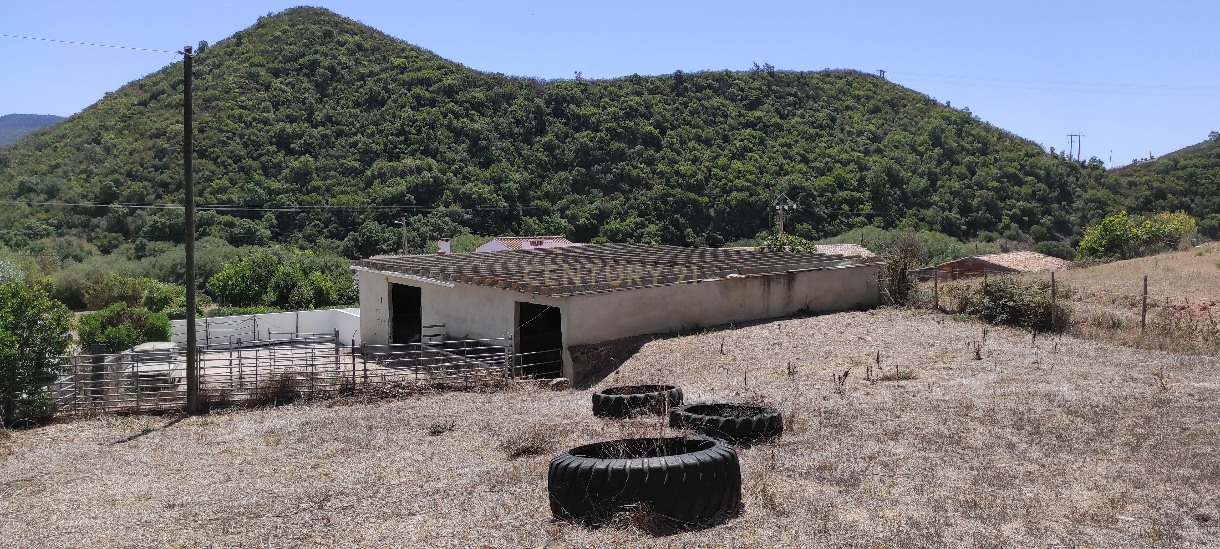 Encantadora Propriedade no Vale da Cerca dos Pomares, Aljezur - Image 26