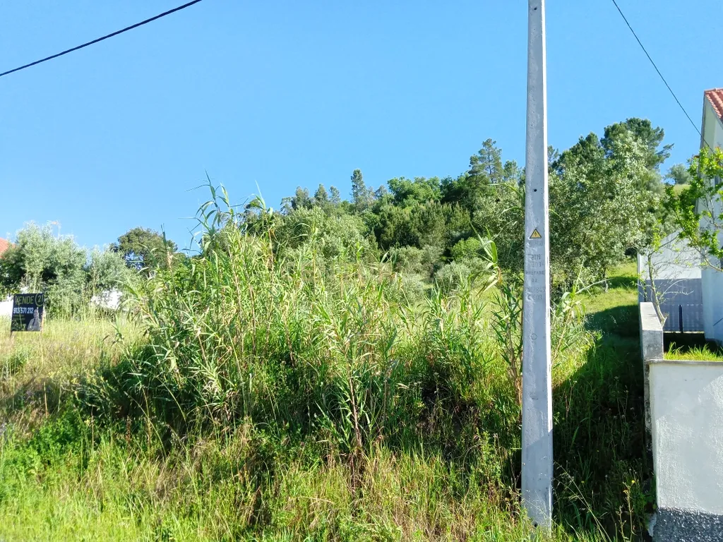 Terreno na estrada do Favacal limite Areias - Image 11