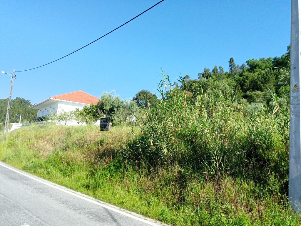 Terreno na estrada do Favacal limite Areias - Image 13