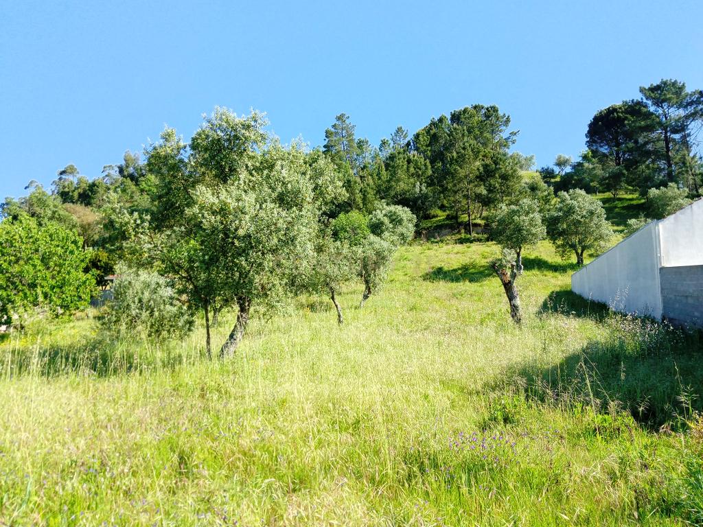 Terreno na estrada do Favacal limite Areias - Image 12