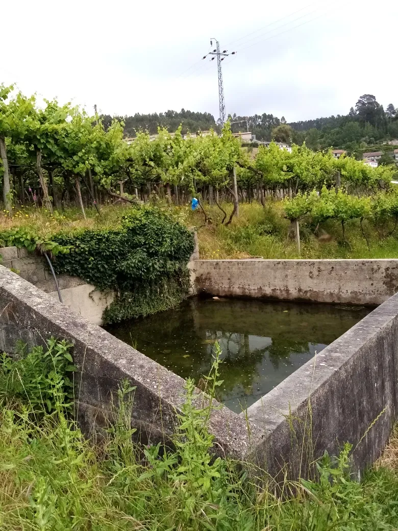 Terreno de 2860m2, localizado em zona urbana Sande, Marco de Canaveses - Image 1