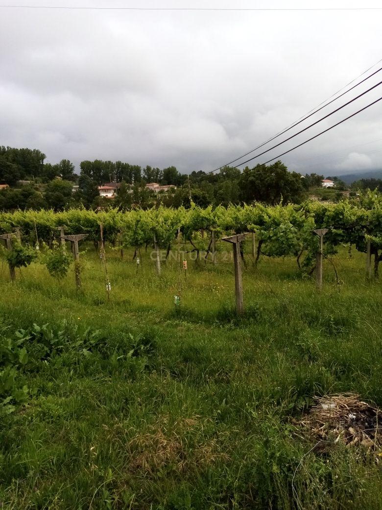 Terreno de 2860m2, localizado em zona urbana Sande, Marco de Canaveses - Image 10